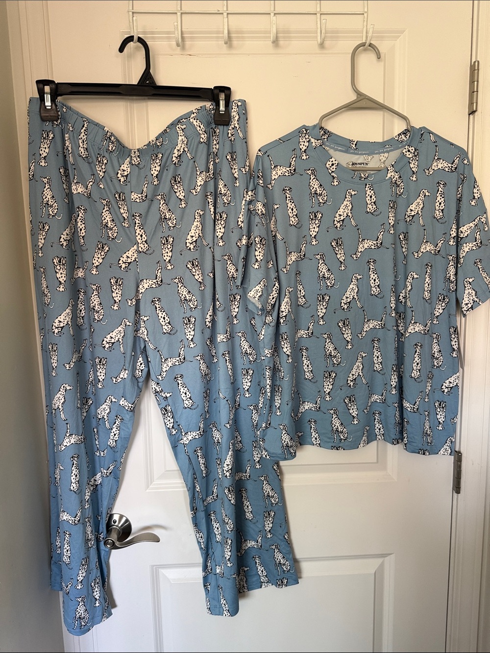 Cozy Dalmatian Print Pajama Set in Light Blue - Women’s Sleepwear